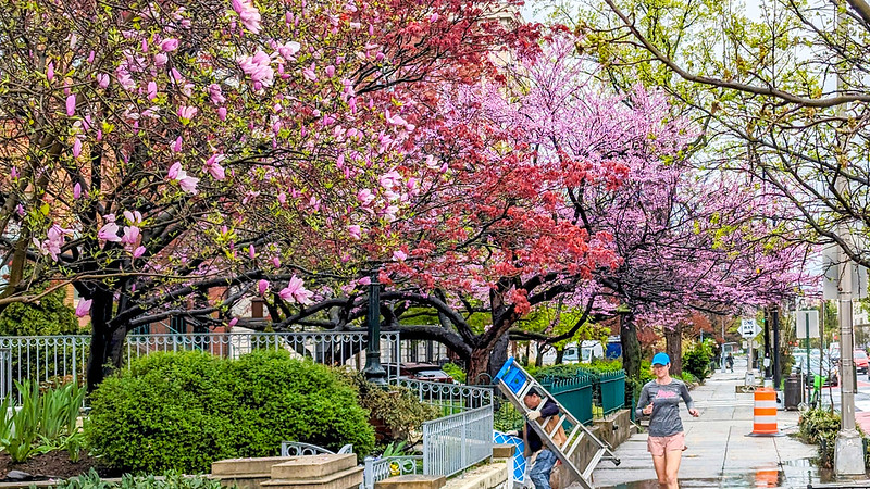 dc_neighborhood_news