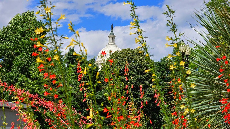 dc_neighborhood_news