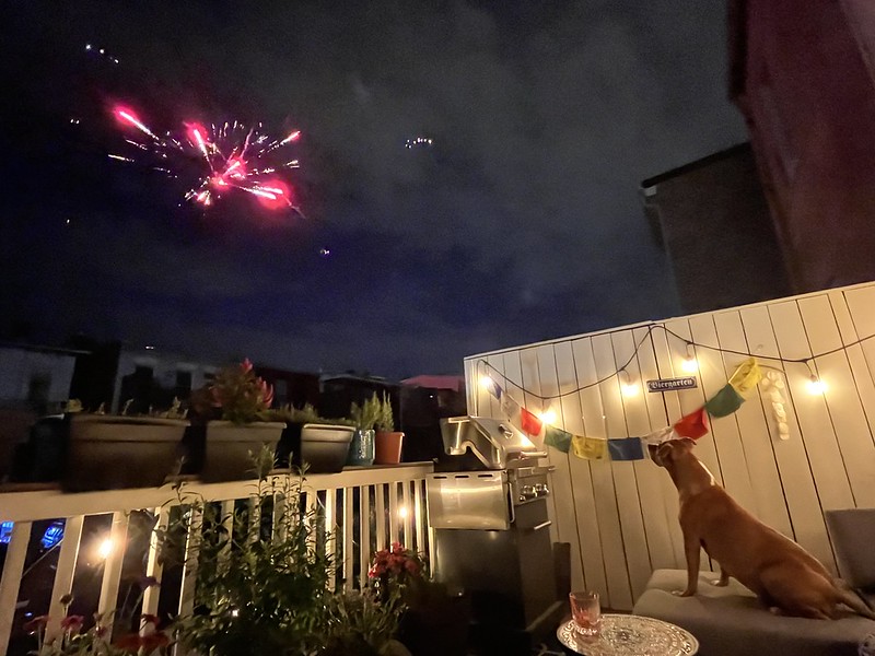 dc_neighborhood_news