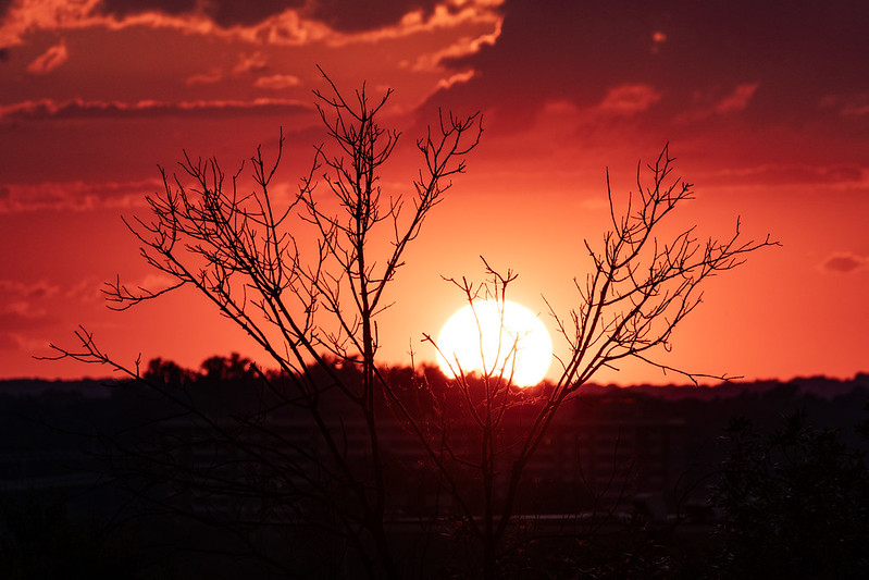 dc_neighborhood_news