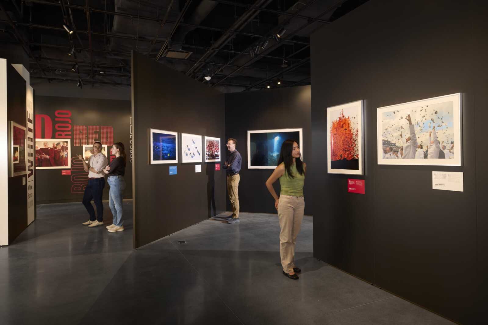 Exhibition Showcase: Red, White & Blue