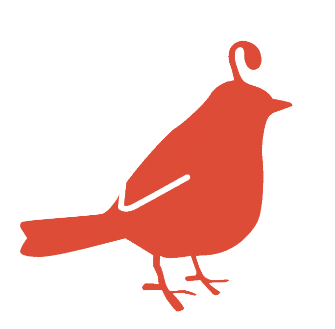Nest DC - Author Avatar